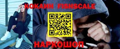 твердый Сланцы